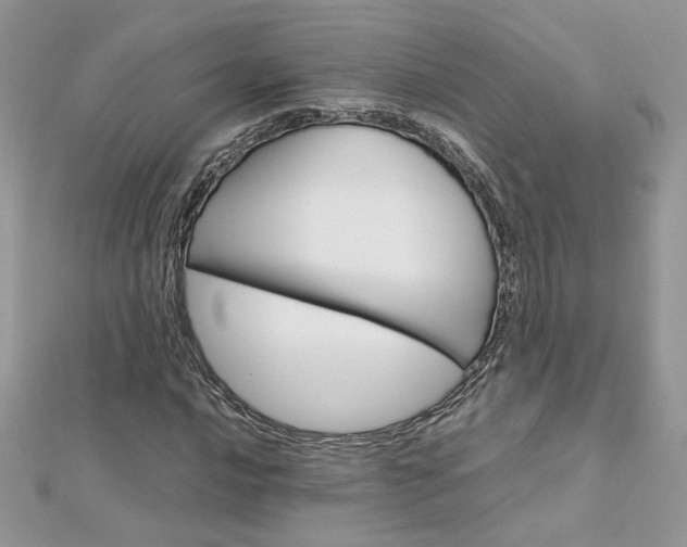 X0000113071016200908281005