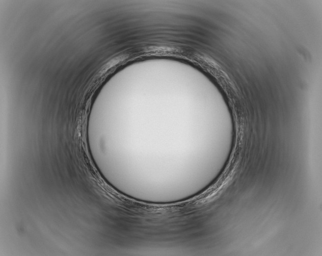 X0000113071017200908281005