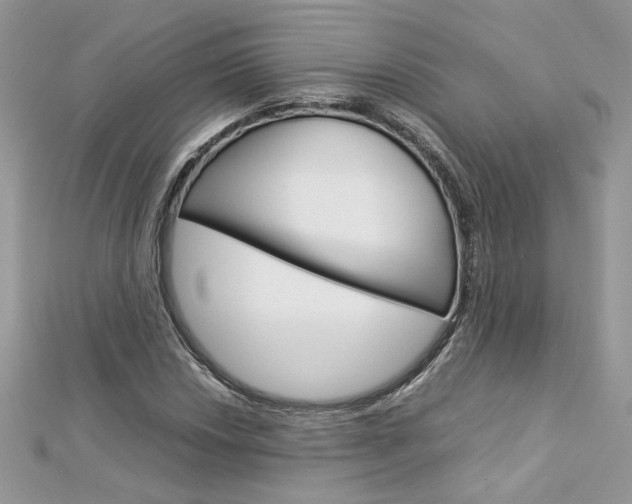 X0000113071018200908281005