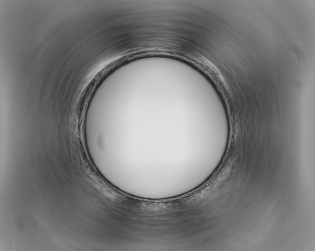 X0000113071019200908281005