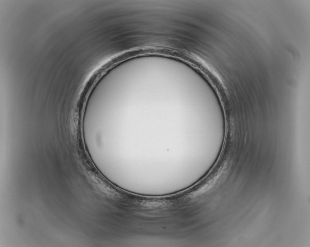 X0000113071021200908281005