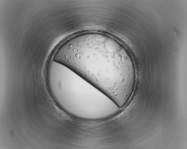 X0000113071022200908281005