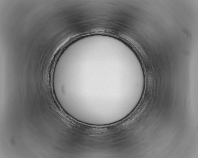 X0000113071023200908281005