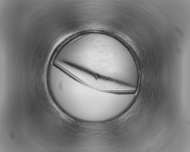 X0000113071024200908281005