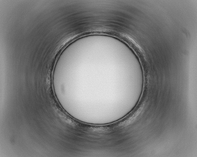 X0000113071025200908281005