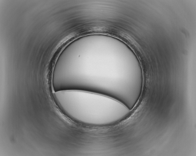 X0000113071026200908281005