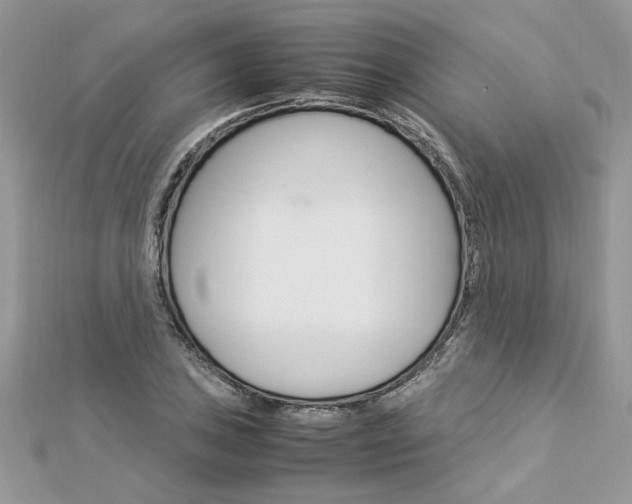 X0000113071027200908281005