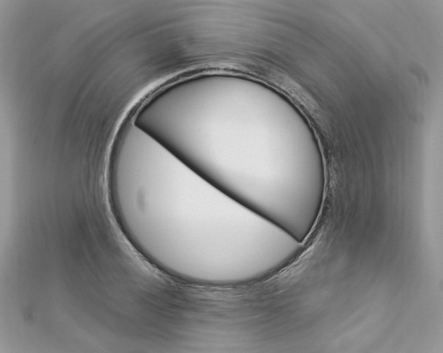 X0000113071028200908281005