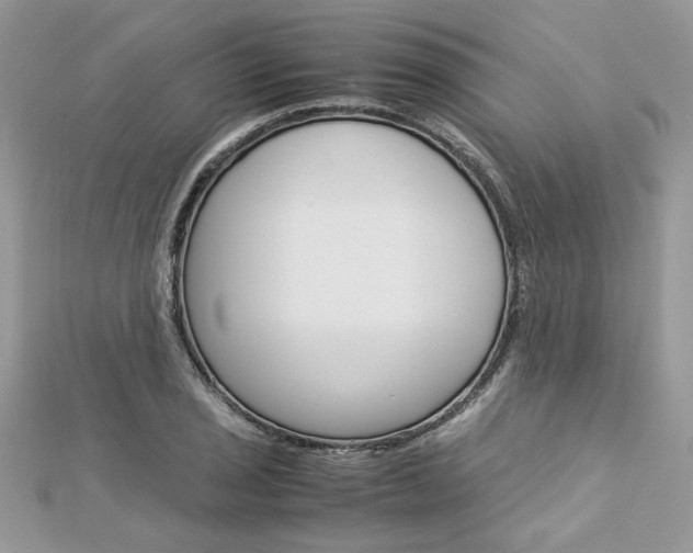 X0000113071029200908281005