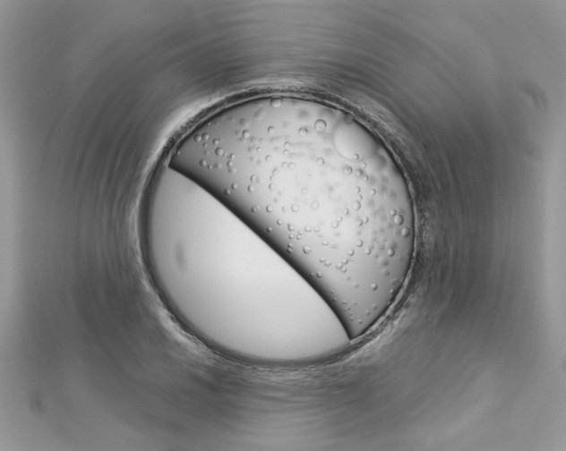 X0000113071030200908281005
