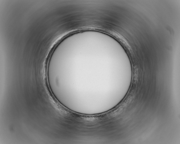 X0000113071031200908281005