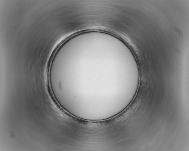 X0000113071032200908281005