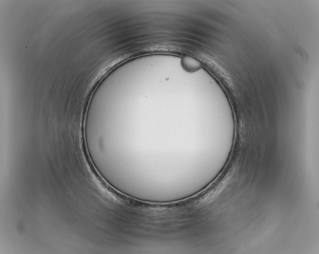 X0000113071033200908281005