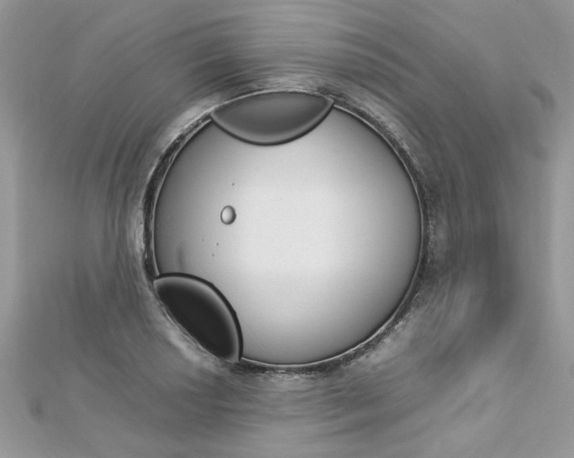 X0000113071034200908281005