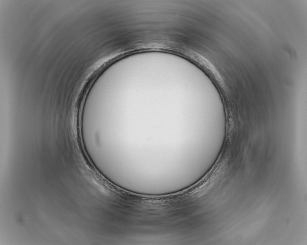 X0000113071035200908281005