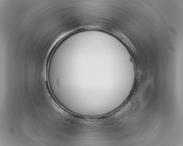 X0000113071036200908281005