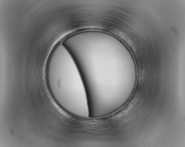 X0000113071037200908281005