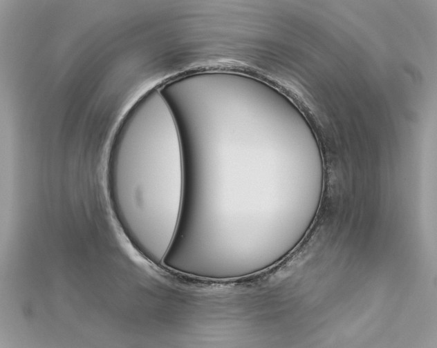 X0000113071038200908281005