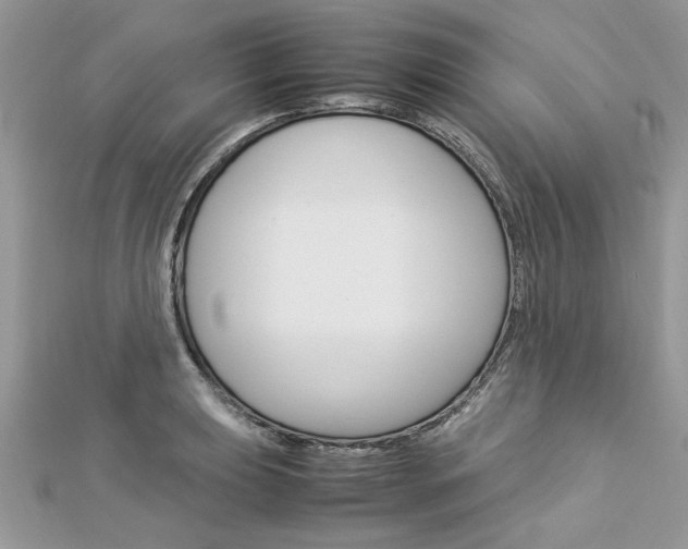 X0000113071039200908281005