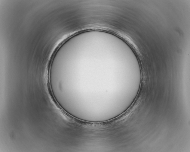X0000113071040200908281005