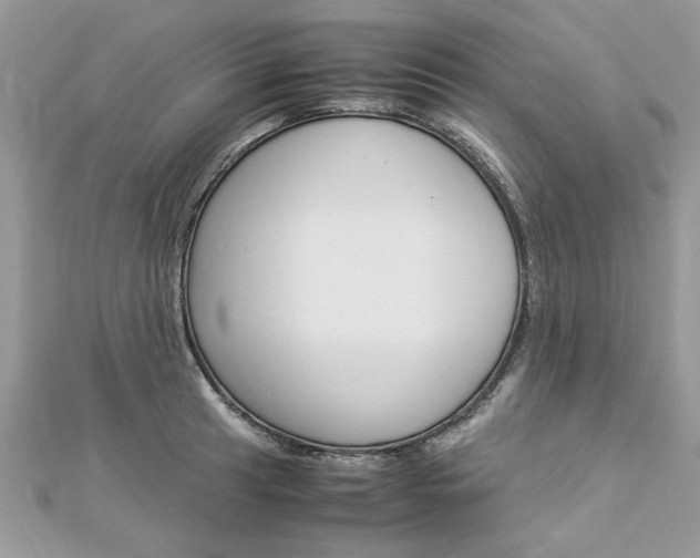 X0000113071041200908281005