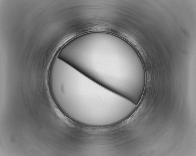 X0000113071042200908281005