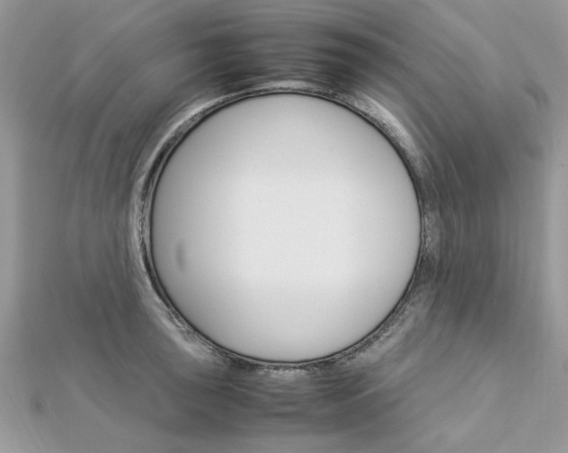 X0000113071043200908281005