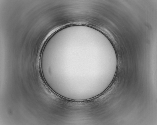 X0000113071044200908281005