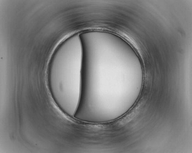 X0000113071045200908281005