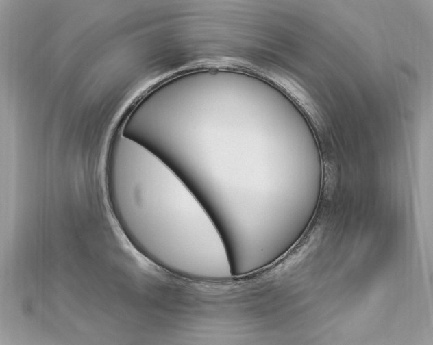X0000113071046200908281005