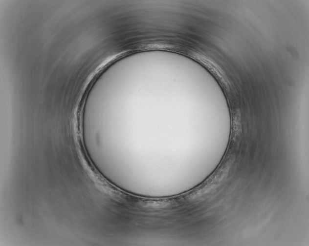 X0000113071047200908281005