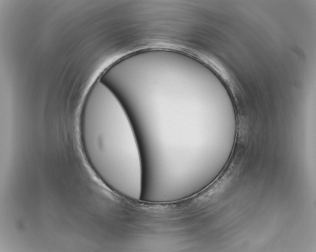X0000113071048200908281005
