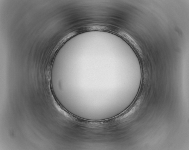 X0000113071049200908281005