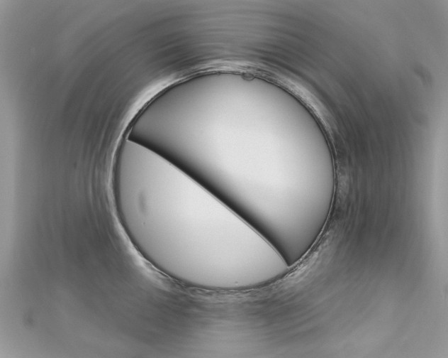 X0000113071050200908281005