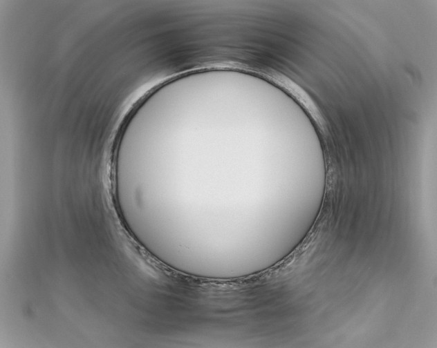 X0000113071051200908281005