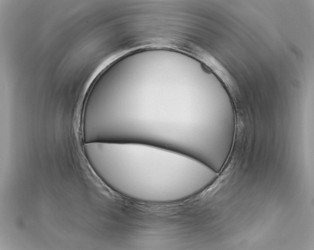 X0000113071052200908281005