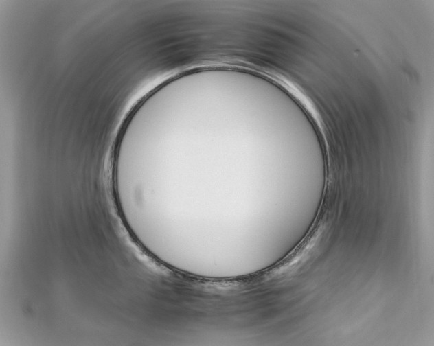 X0000113071053200908281005