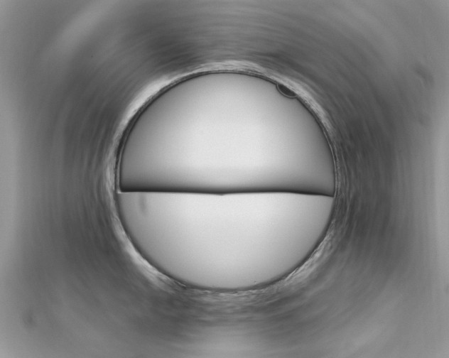 X0000113071054200908281005