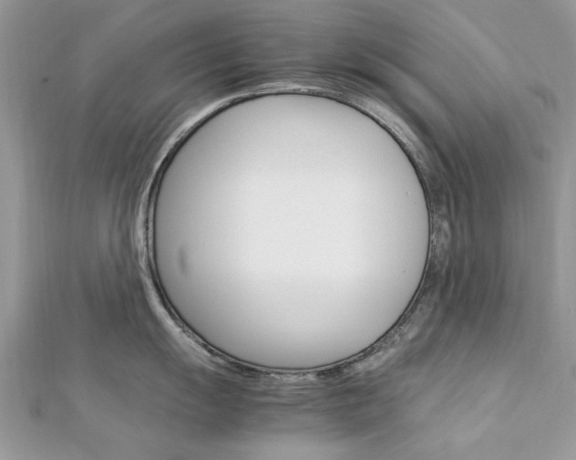 X0000113071055200908281005