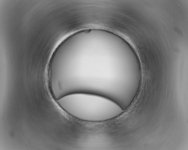 X0000113071056200908281005