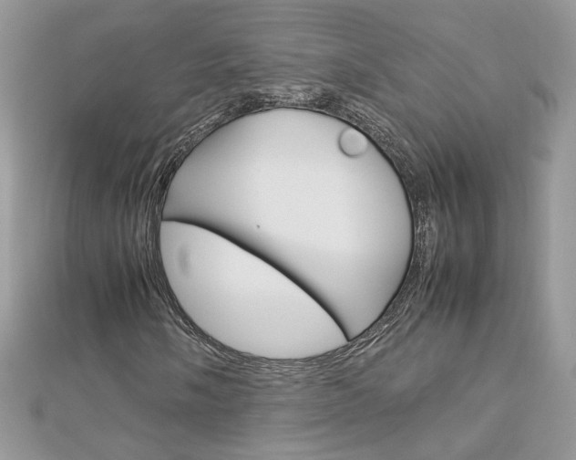 X0000113071058200908281005