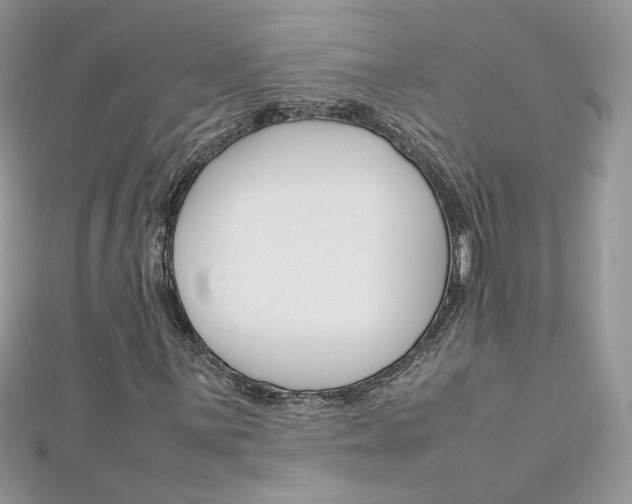 X0000113071059200908281005