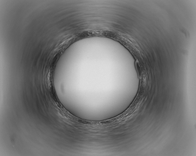 X0000113071060200908281005
