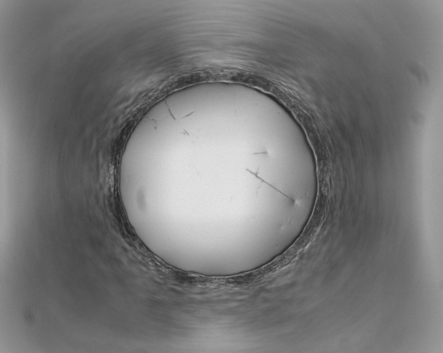 X0000113071061200908281005