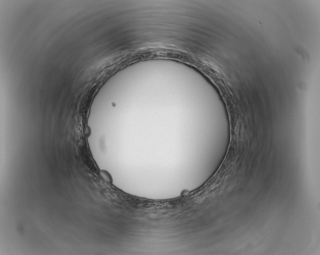 X0000113071062200908281005