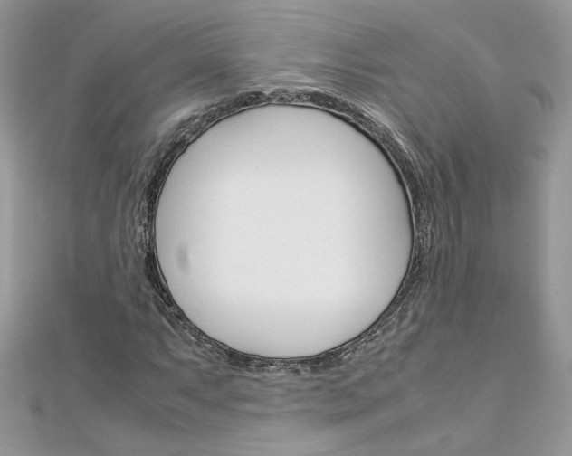 X0000113071063200908281005