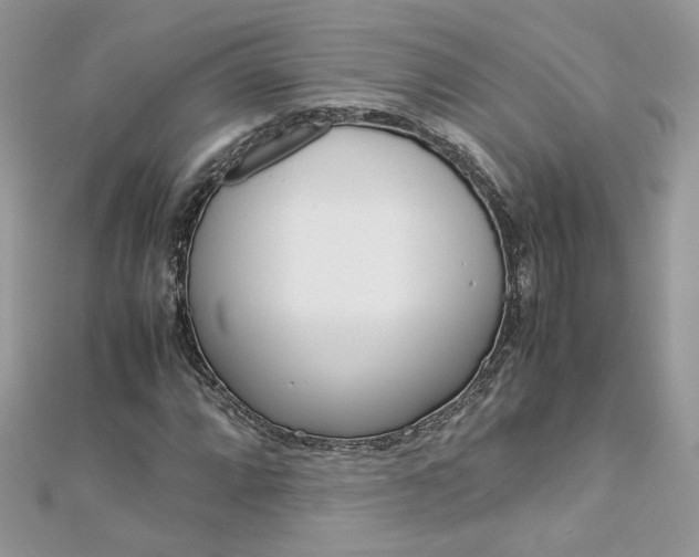 X0000113071064200908281005