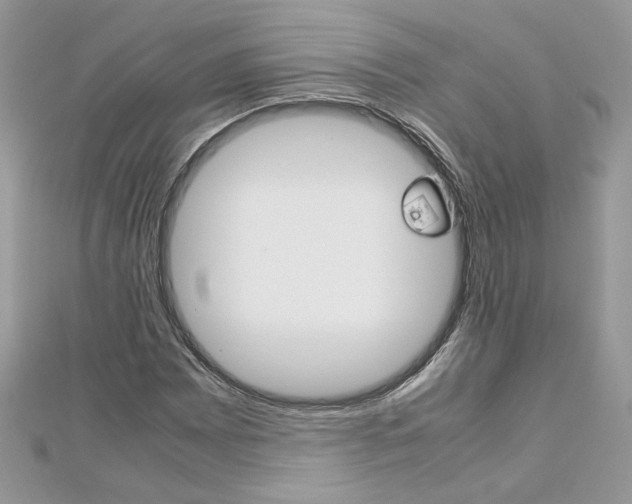 X0000113071065200908281005