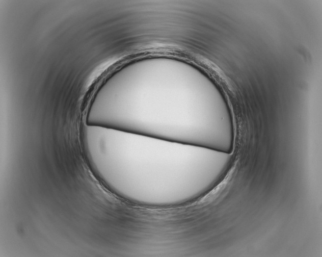 X0000113071066200908281005