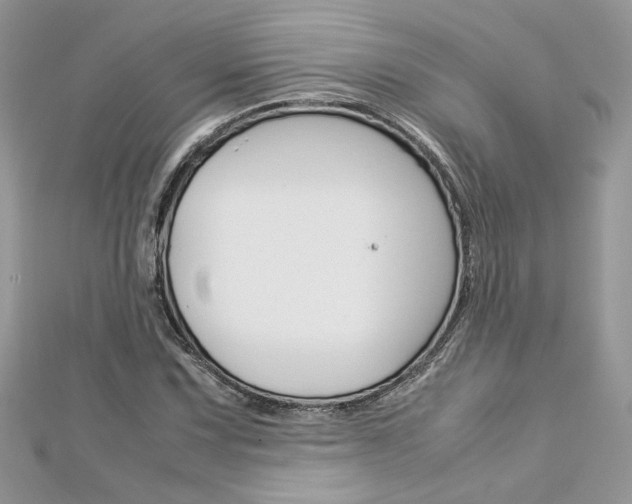 X0000113071067200908281005